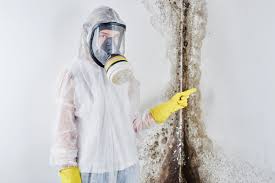 Best Emergency Mold Remediation  in Laurel, MS